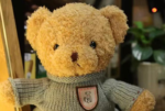 Ours en peluche – Image 2