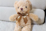 Ours en peluche